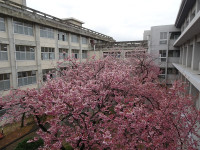 060306①